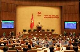 Thông cáo số 8 kỳ họp thứ 11, Quốc hội khóa XIII